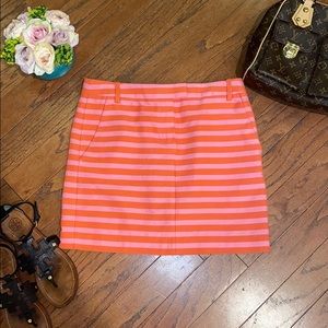 J.Crew Skirt